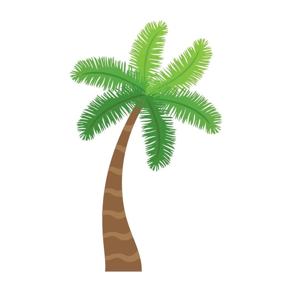 Date Palm Concepts vector