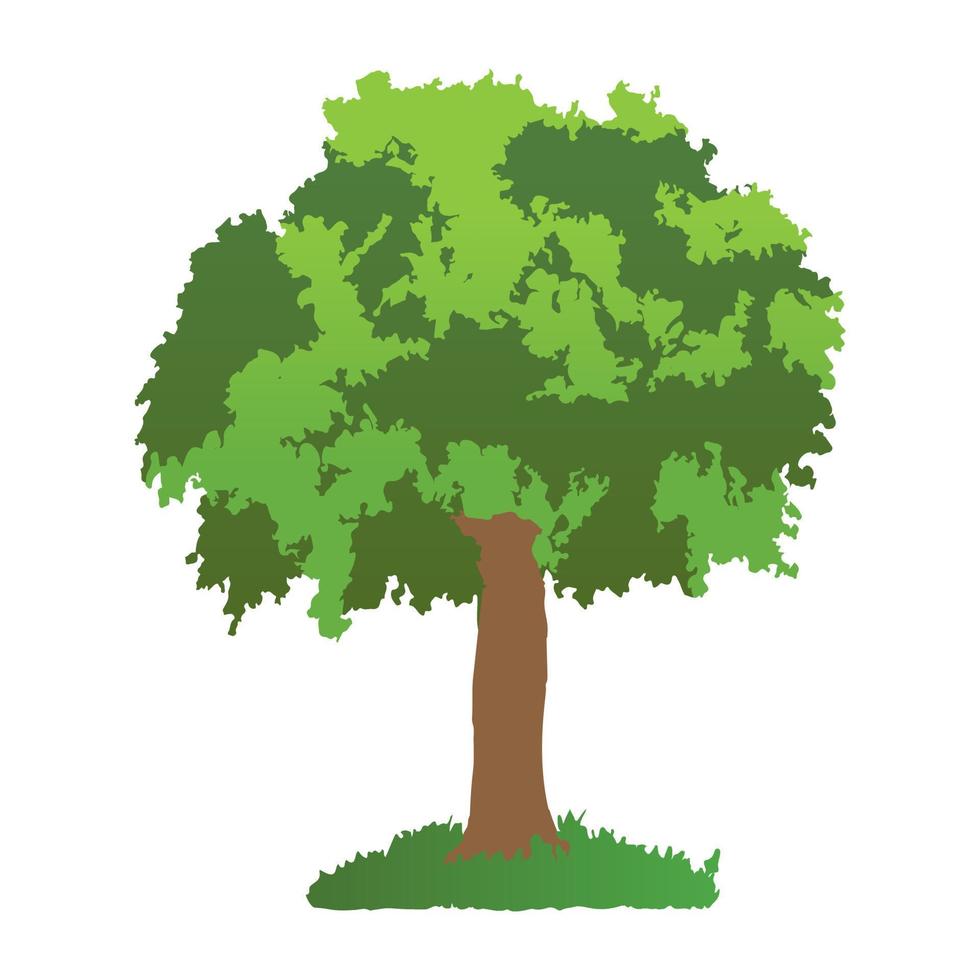 Eastern Cottonwood Concepts vector