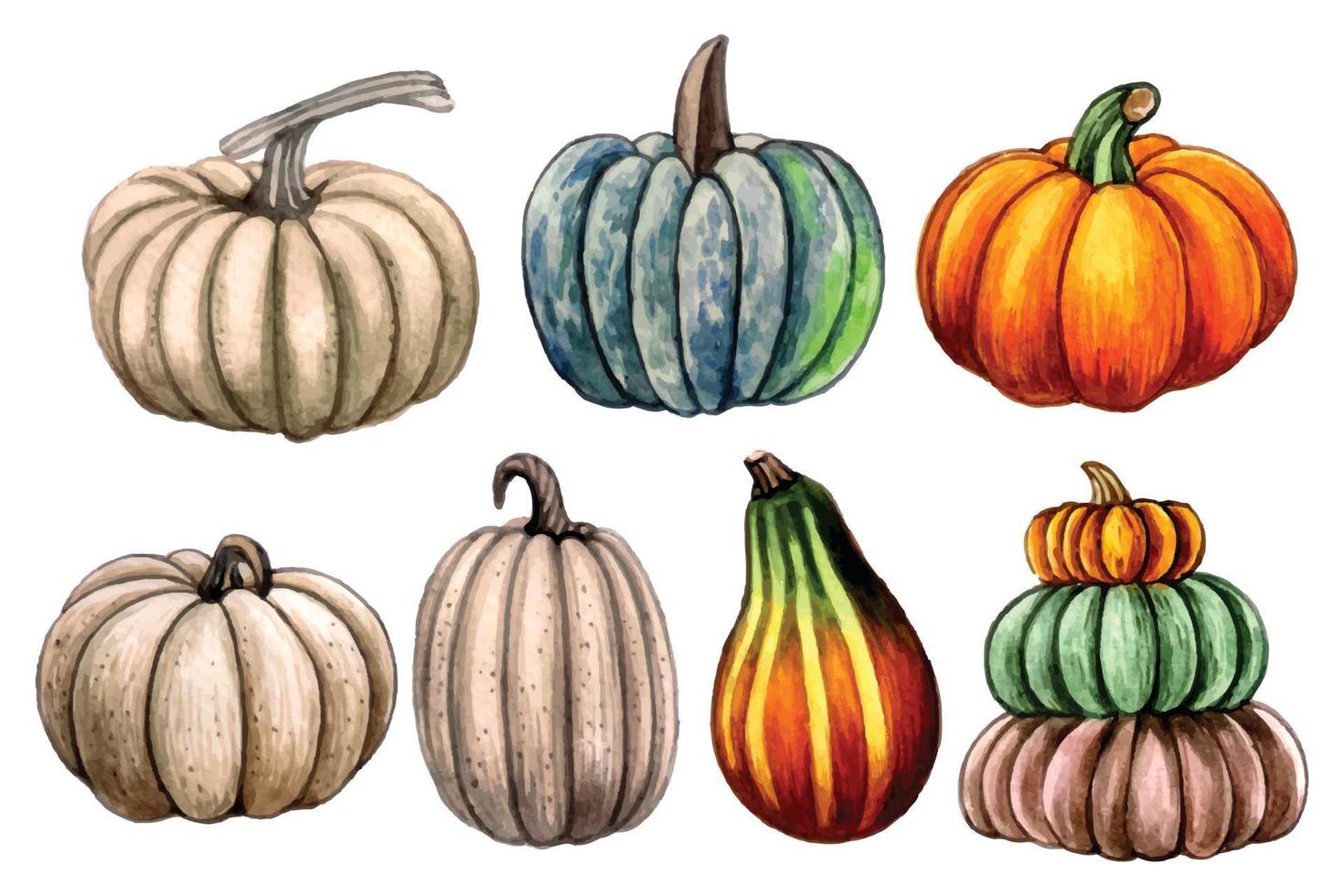 Watercolor hand drawn fall pumpkin composition vector