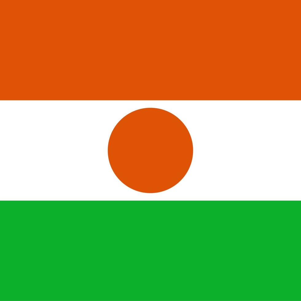 Niger Square National Flag vector