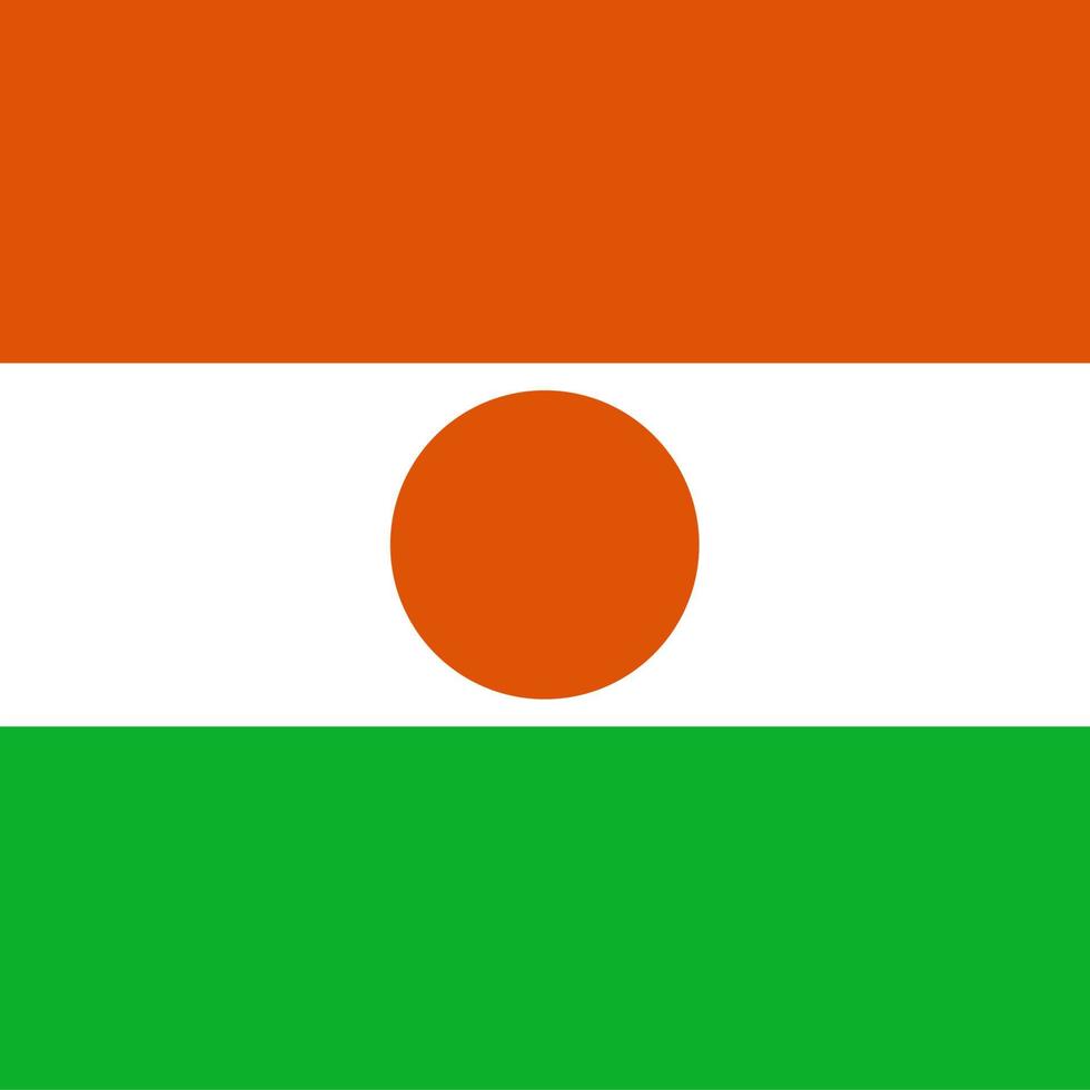 bandera nacional de la plaza niger vector