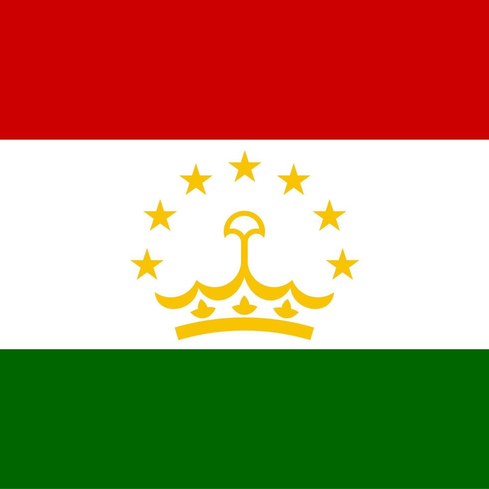 Tajikistan Square National Flag vector