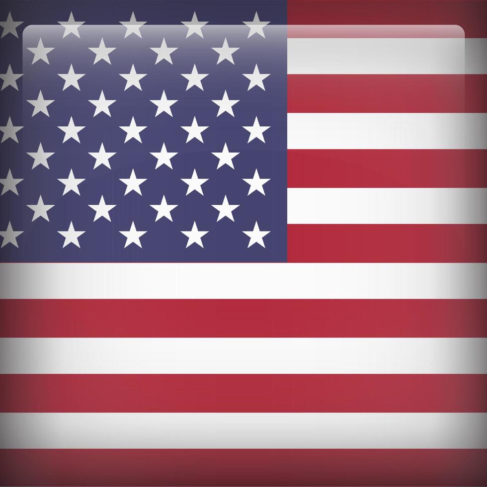 United States Square National Flag vector