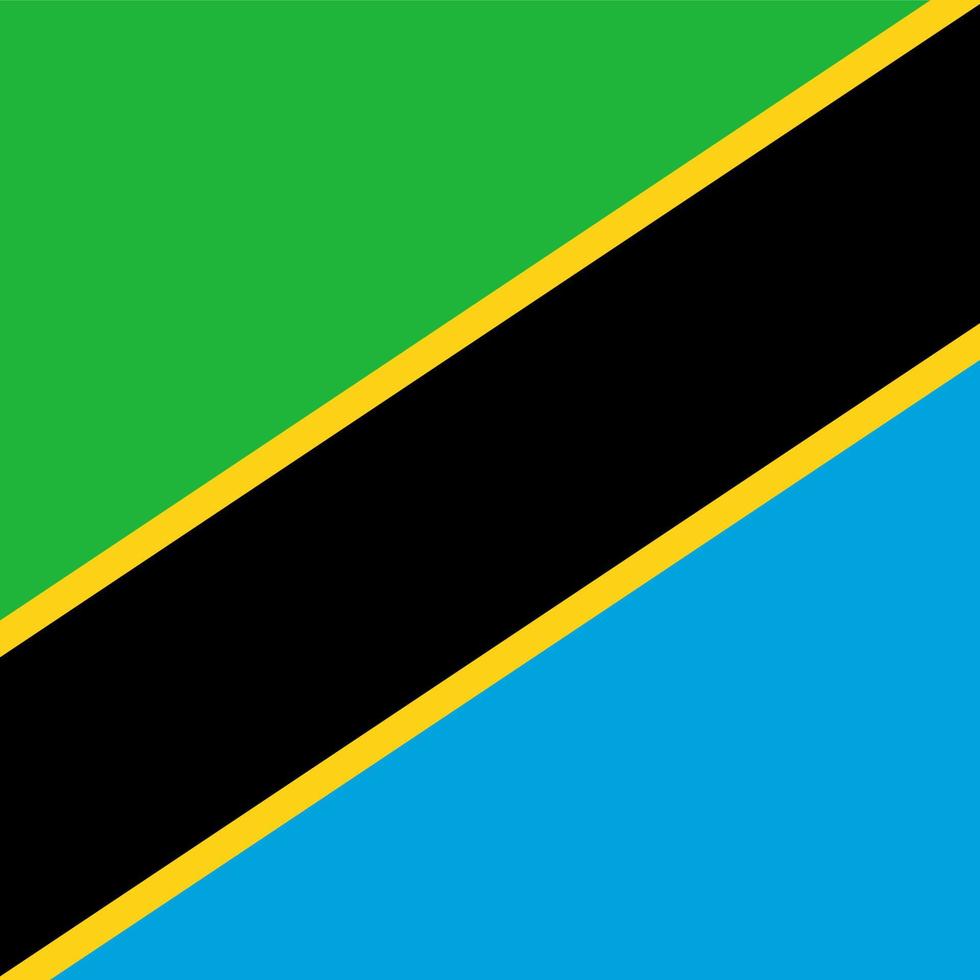 Tanzania Square National Flag vector