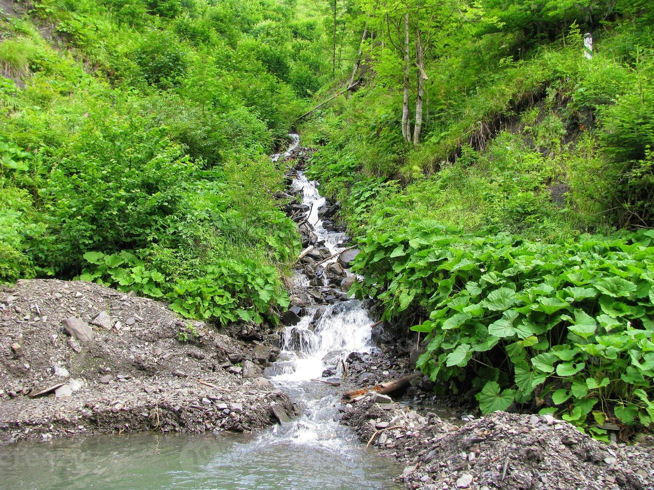 A cascade of boulders on the path of a fast mountain stream in the gorge of the Carpathian Mountains. photo