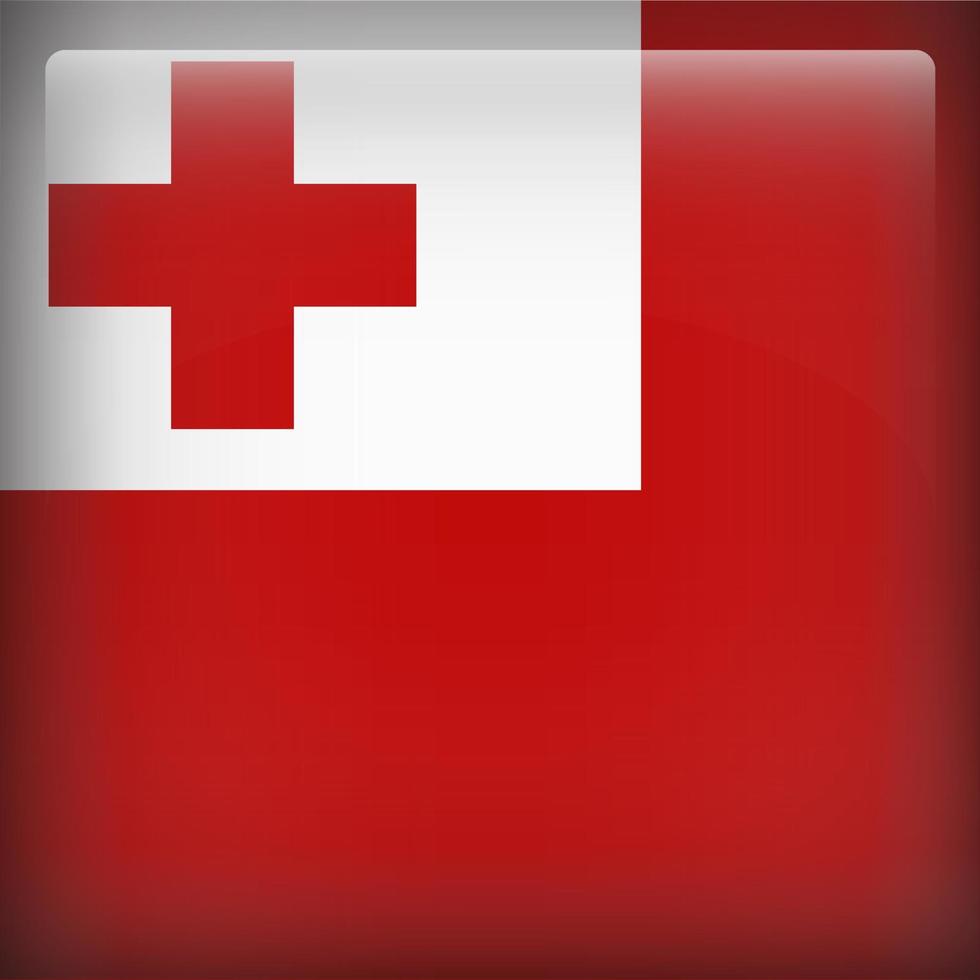 Tonga Square National Flag vector