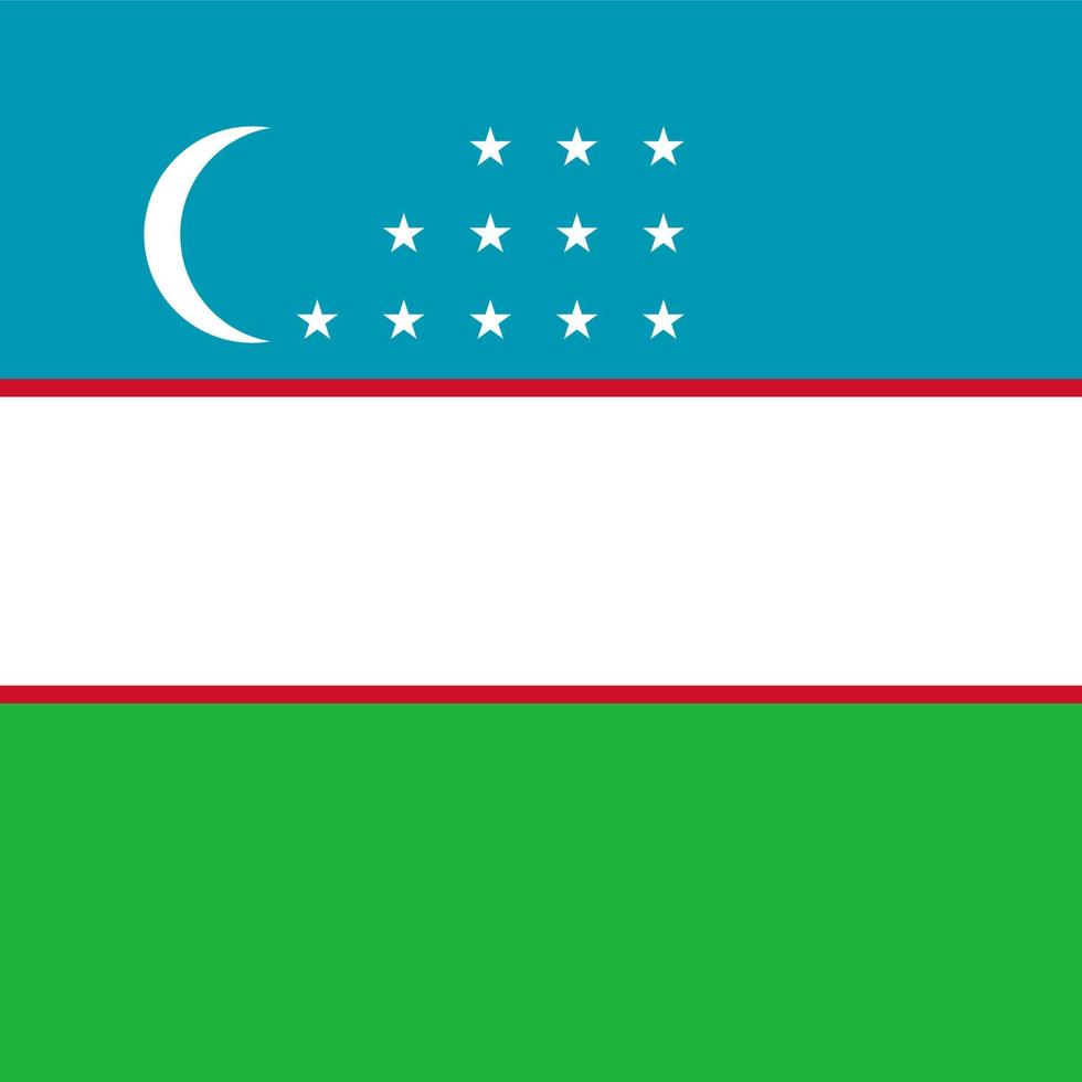 Uzbekistan Square National Flag vector