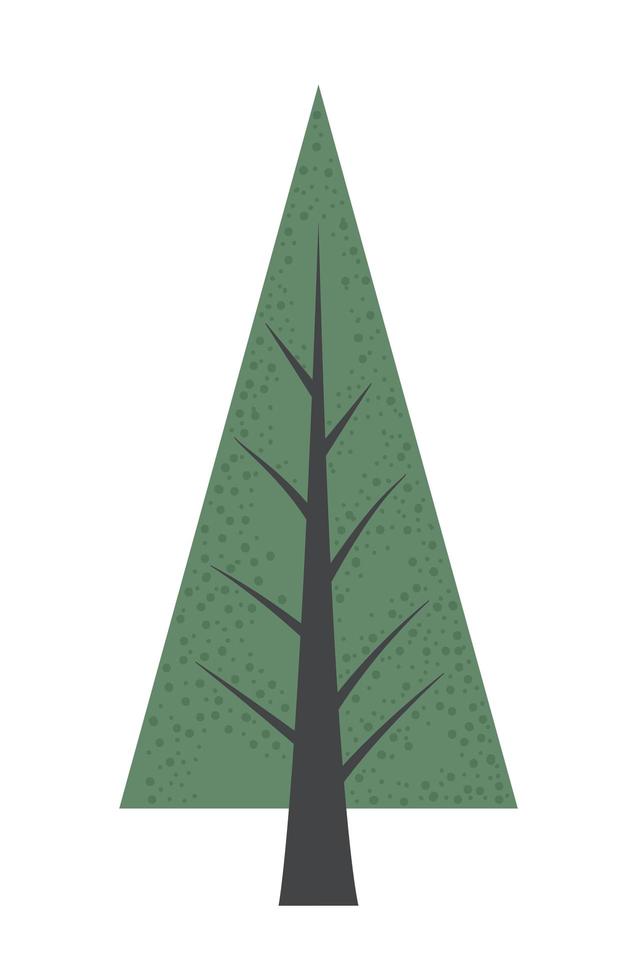 bosque de pinos vector