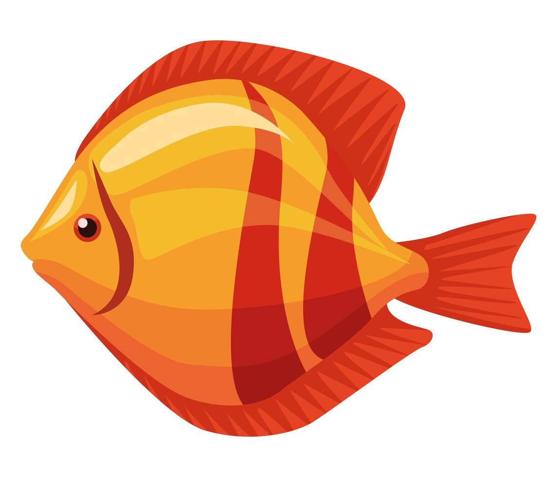 animales exóticos peces de colores vector