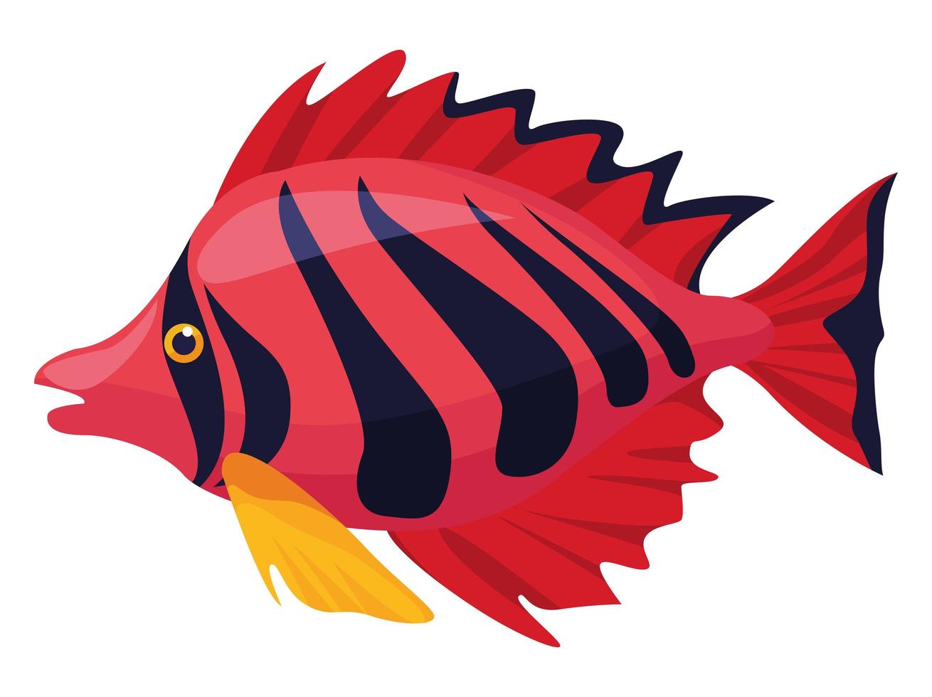 flame angelfish exotic vector