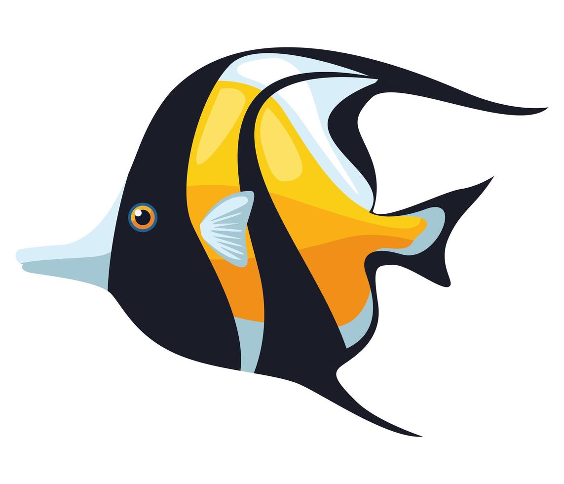 moorish idol fish exotic vector