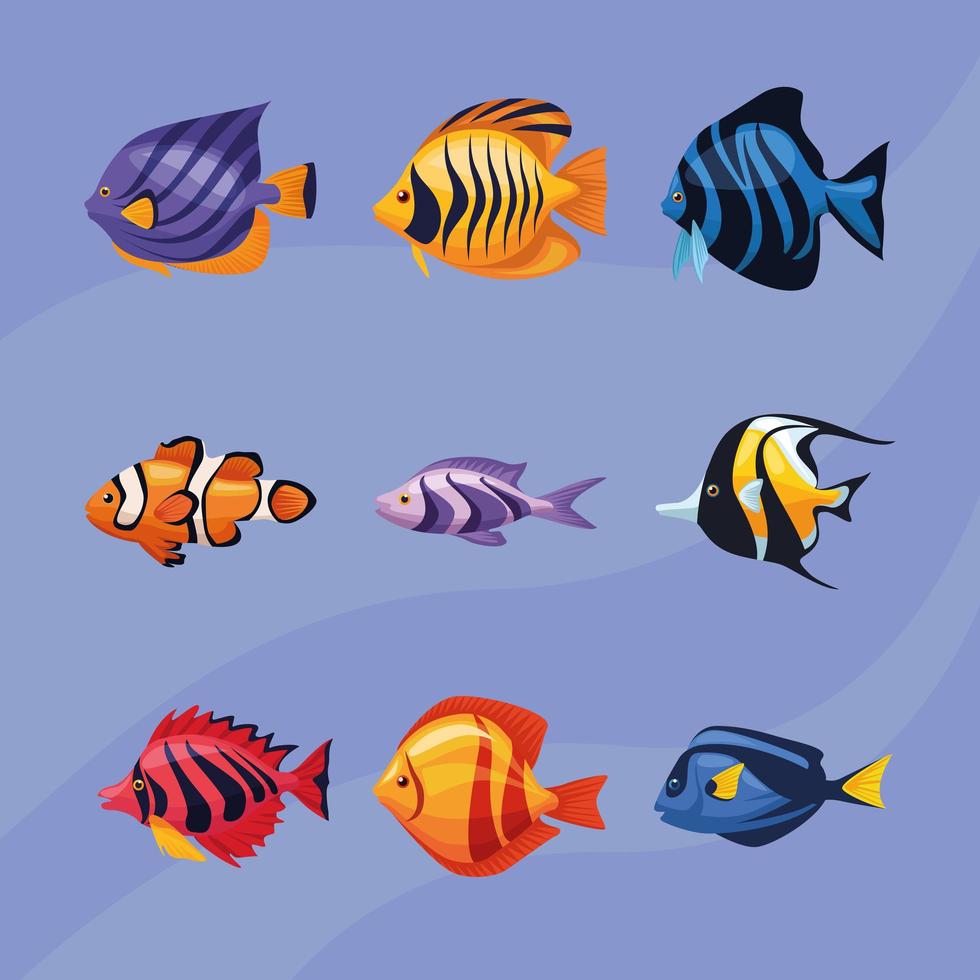 vida marina bajo el agua nueve iconos vector