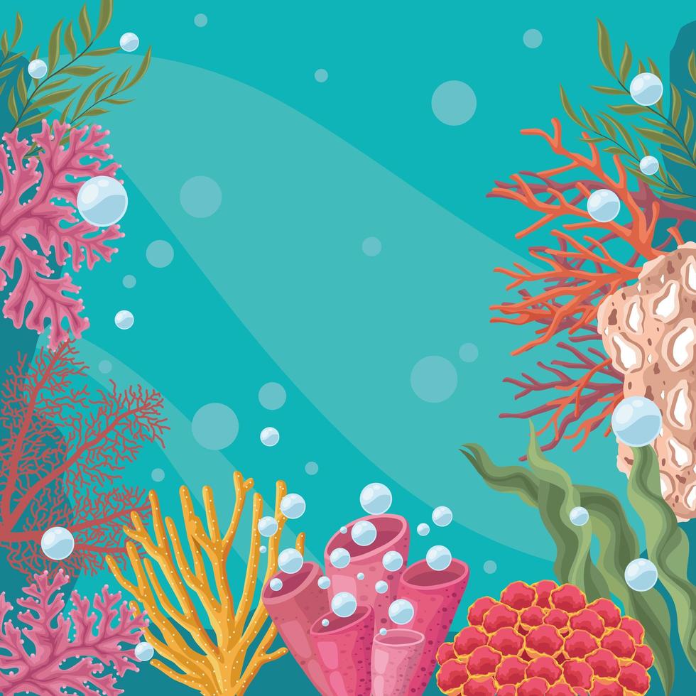seaweed underwater scene vector