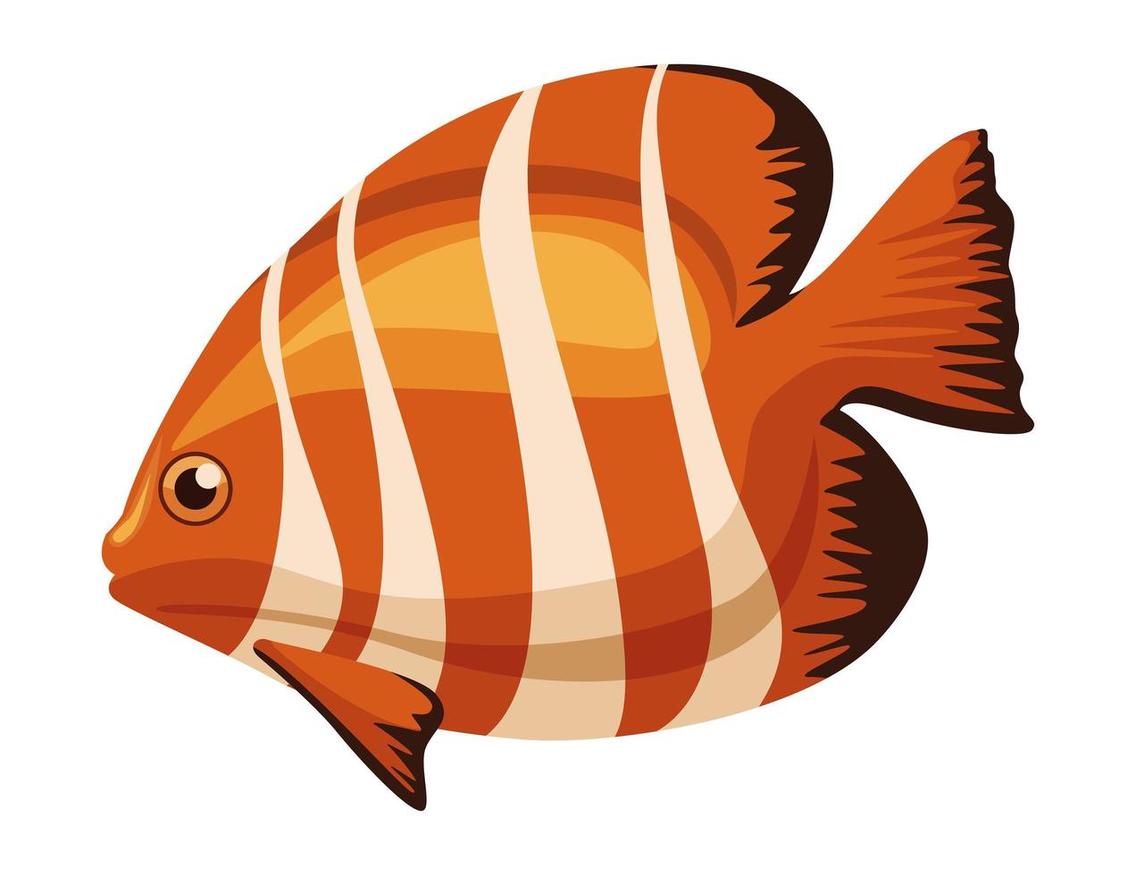 clownfish exotic animal vector