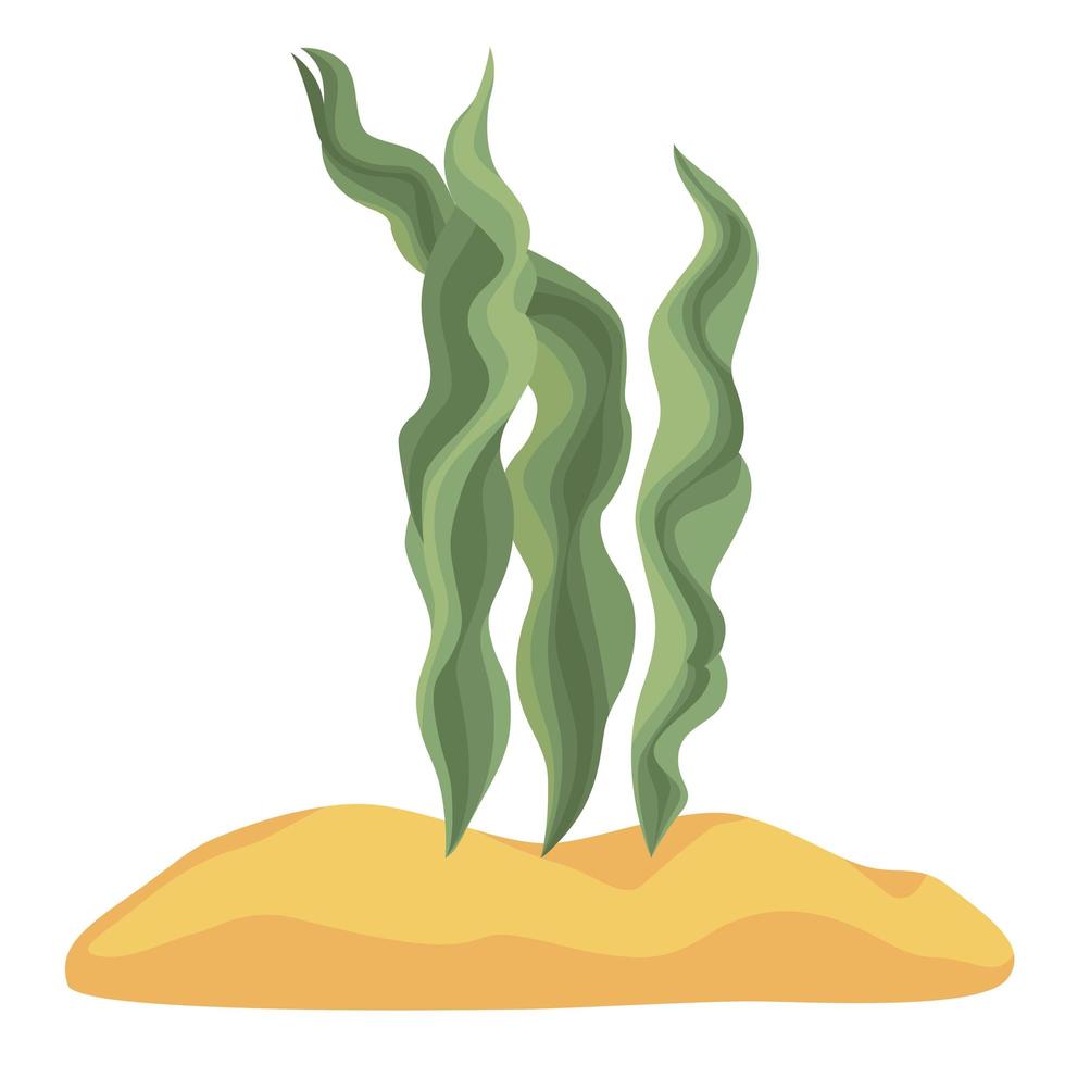 seaweed green plant vector