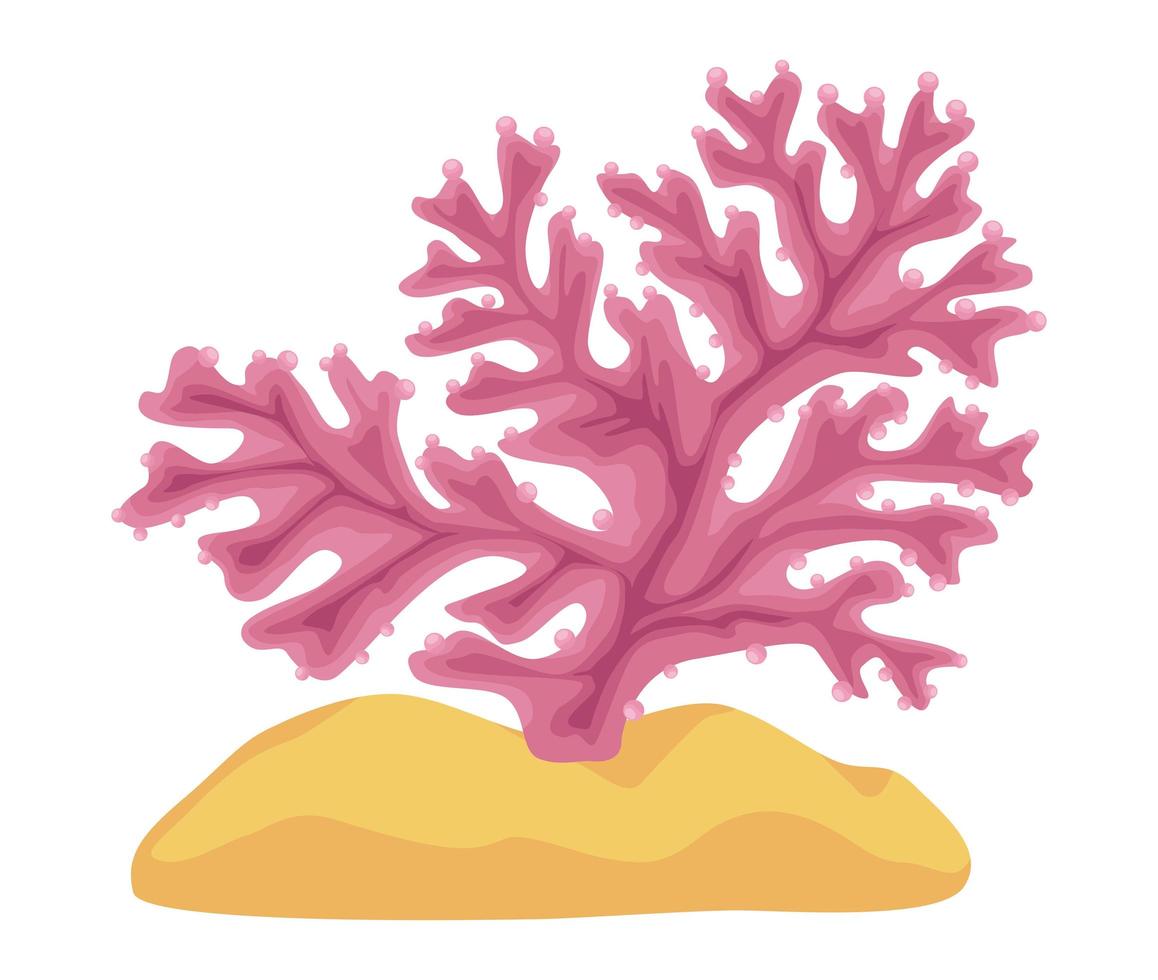 planta de algas rosa vector
