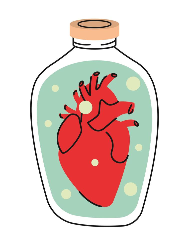 organo del corazon en botella vector