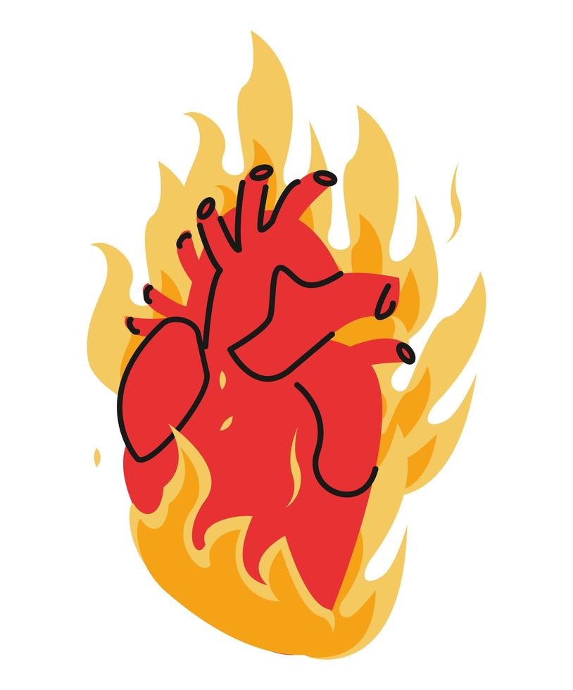 órgano del corazón en llamas vector