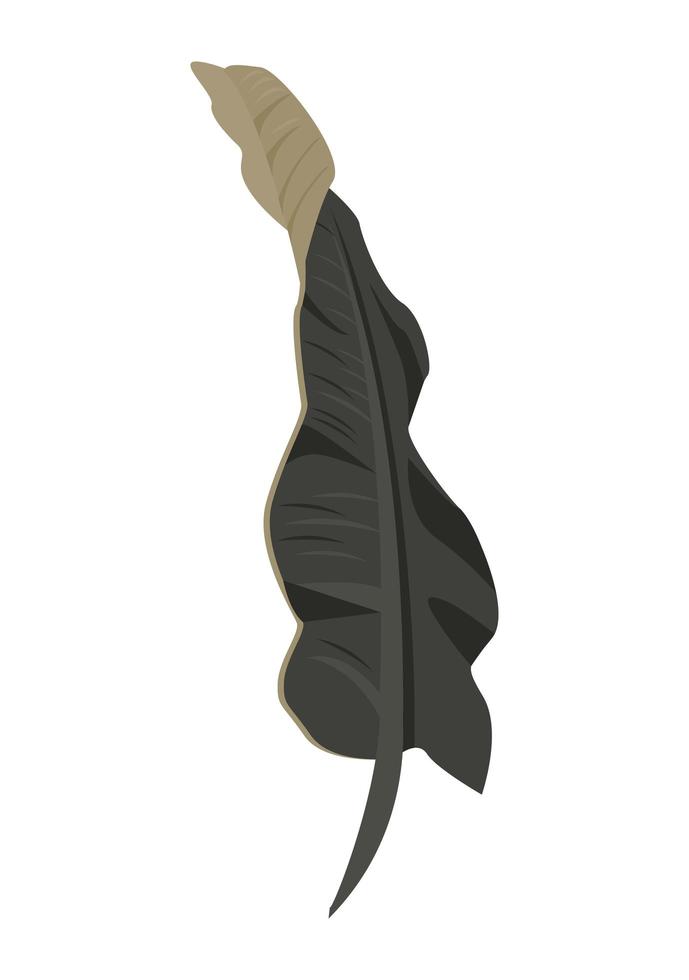 tropical leave palm vector