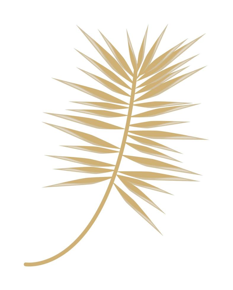 golden leafs palm vector