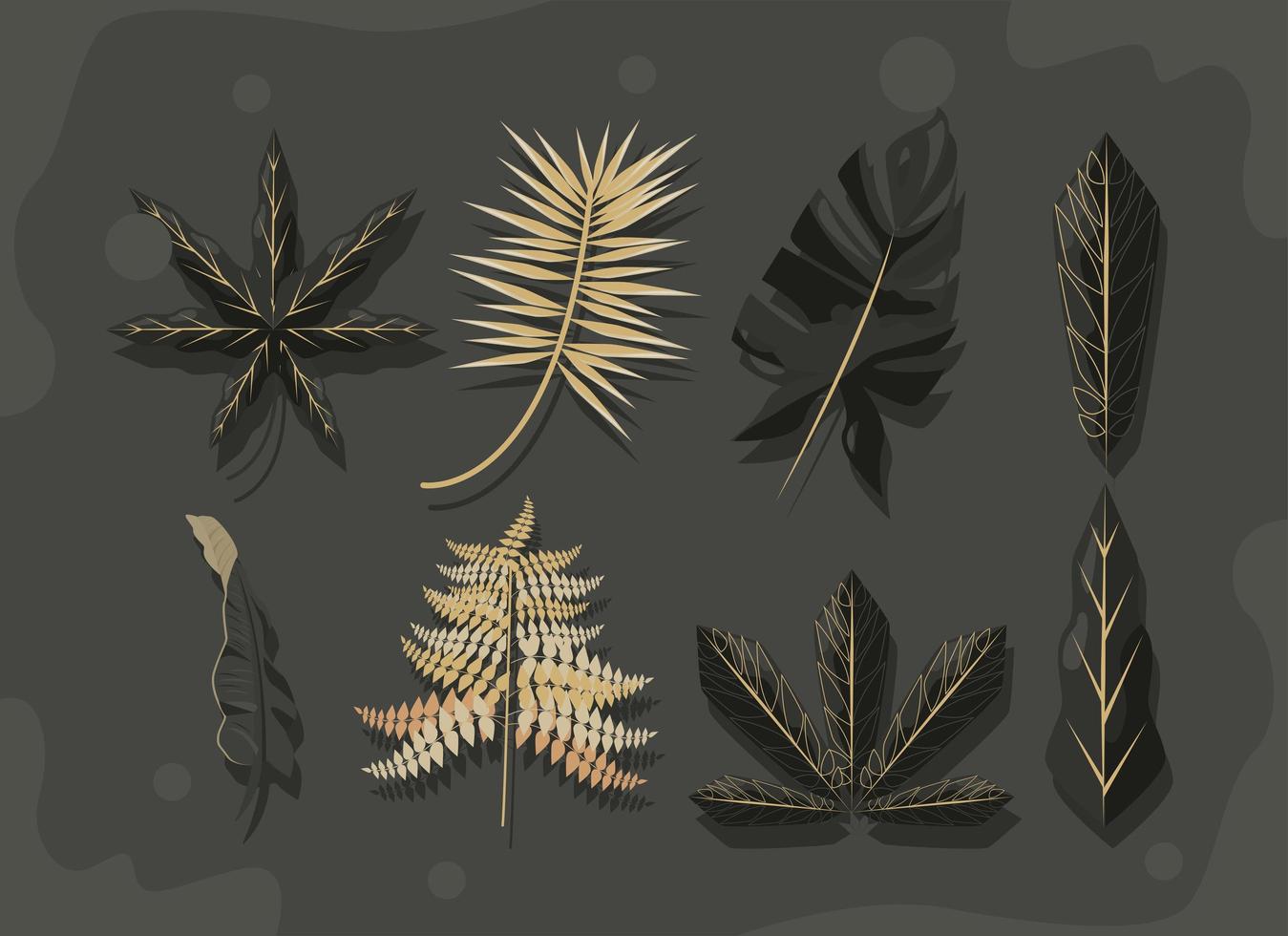 eight tropical leafs vector