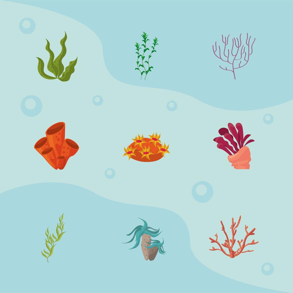 seaweed plants icons vector