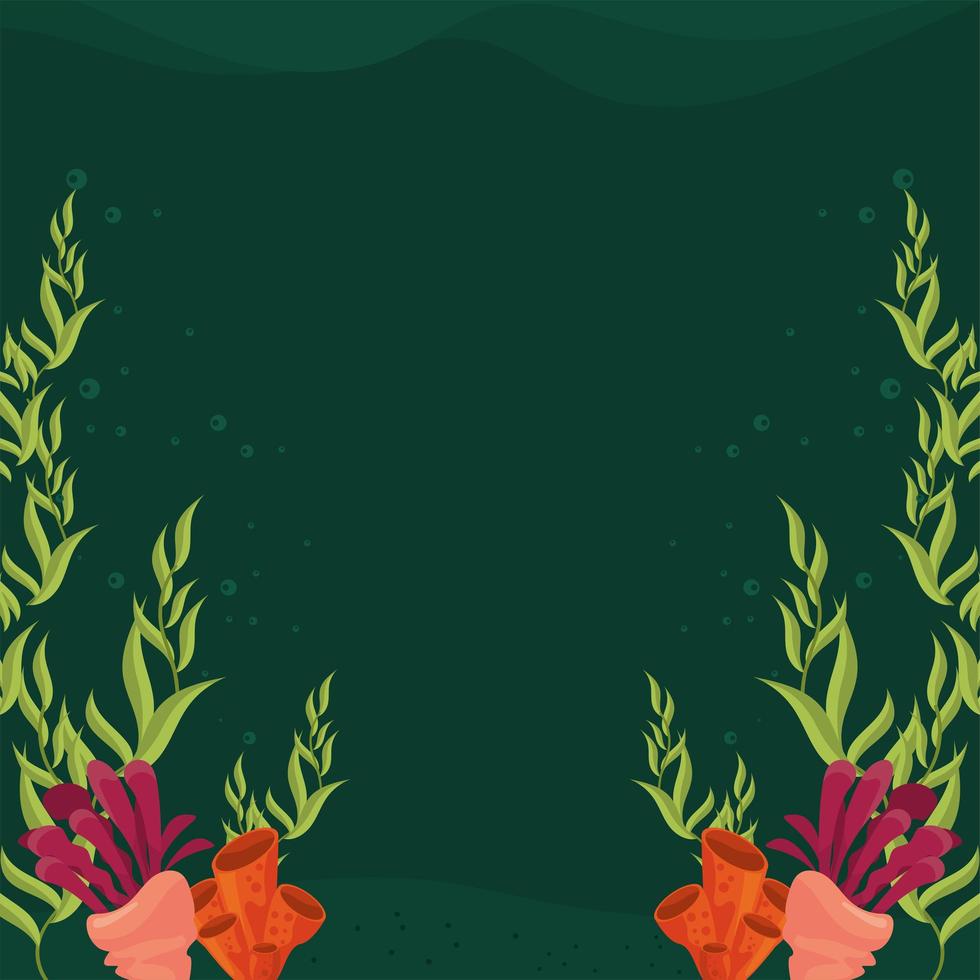 undersea scene sealife vector