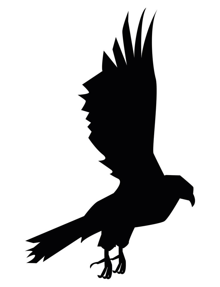 eagle wild flying silhouette vector