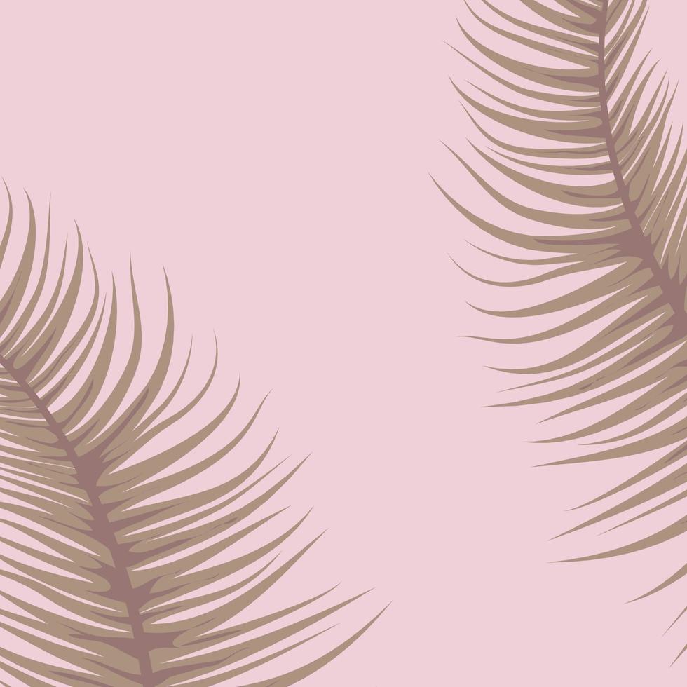 Tropical palm leaves frame botanical illustrations. vector