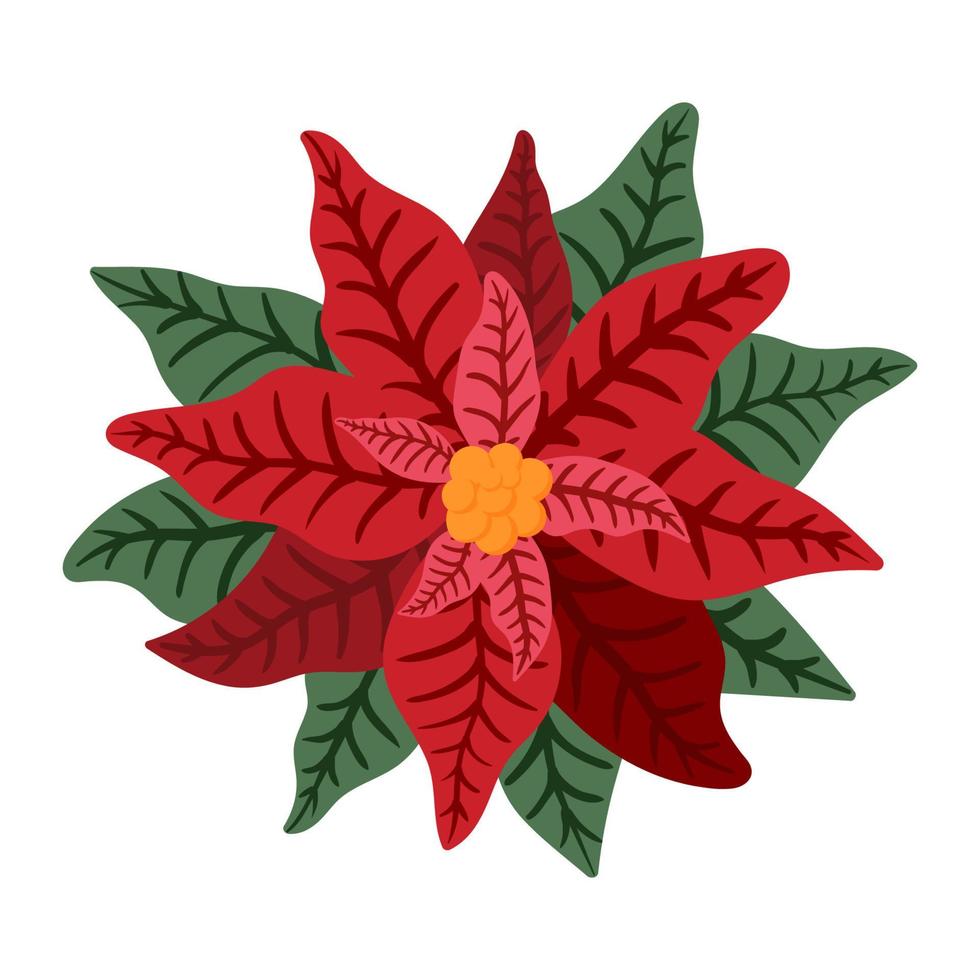 flor de flor de nochebuena roja y hoja ilustración de vector de decoración de Navidad o año nuevo aislado sobre fondo blanco para el diseño de tarjetas de felicitación, página de sitio web, diseño de aplicaciones móviles.