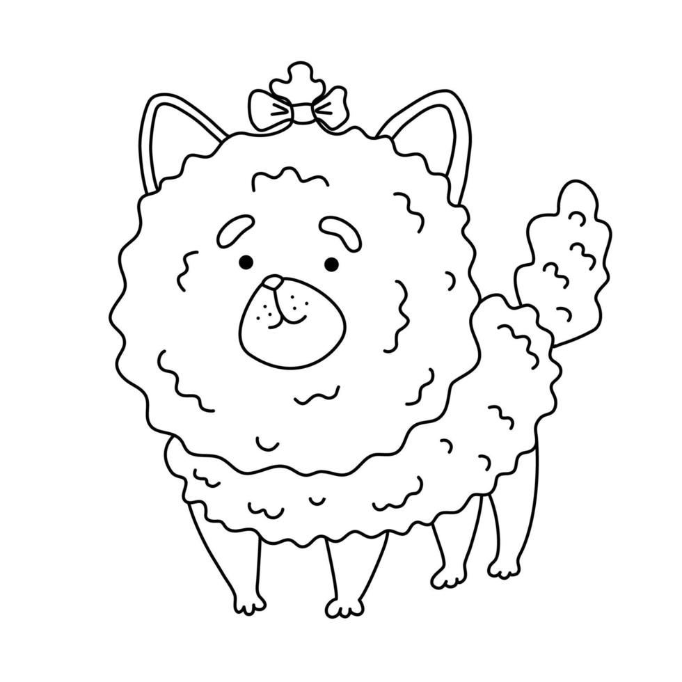 Fluffy shaggy dog pomeranian coloring page. Isolated vector illustration for coloring book, print, game, party, kids design.