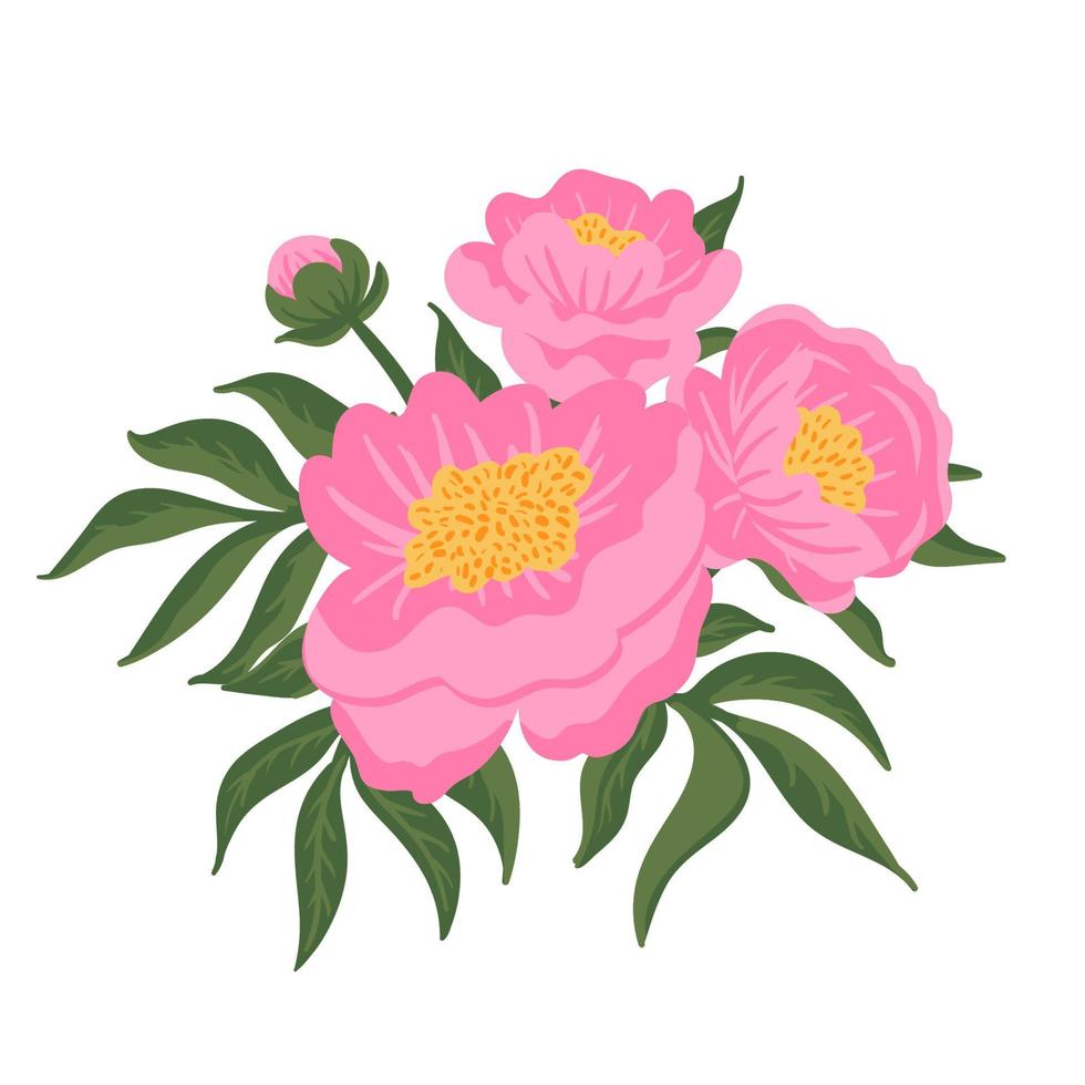 Flower composition. Pink peonies with green leaves. Vector romantic garden illustration. Botanical collection for wedding invitation, patterns, wallpapers, fabric, wrapping