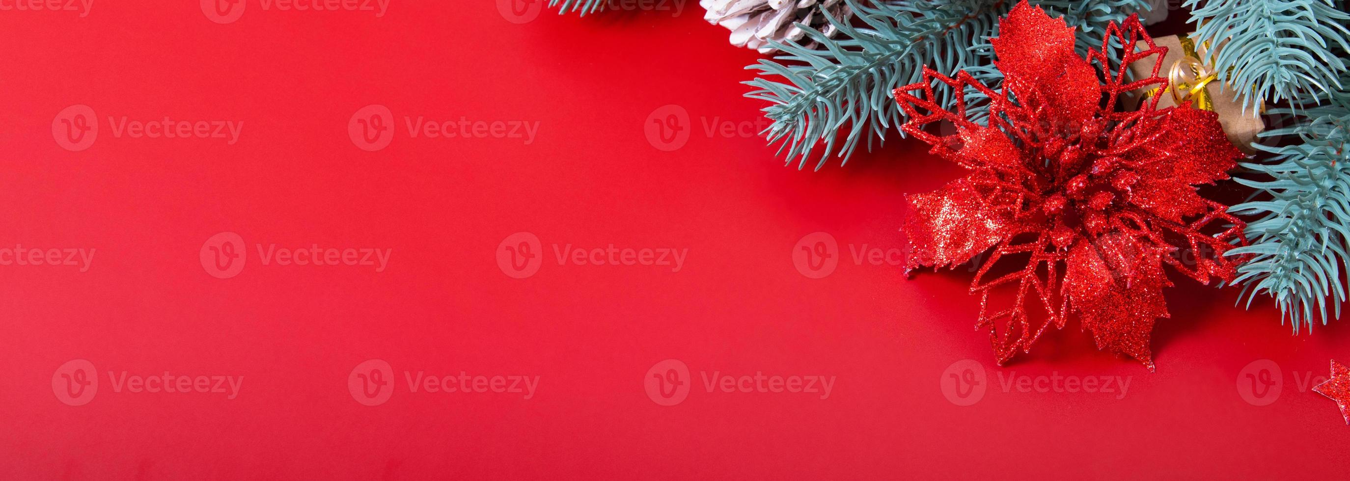 Christmas banner with poinsettia and pine branches on red background with copy space photo