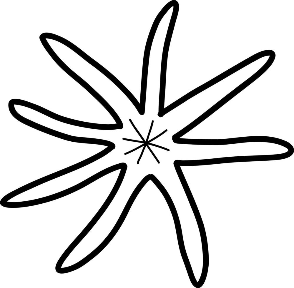 Starfish sketch. Vector illustration in the style of a doodle