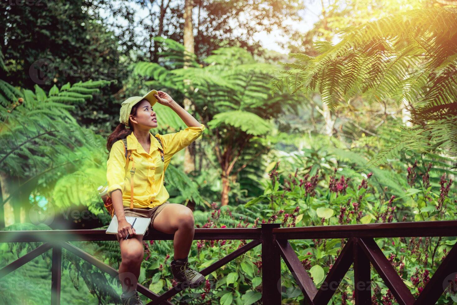 la joven que está sentada escribiendo, grabando y estudiando la naturaleza del bosque. foto