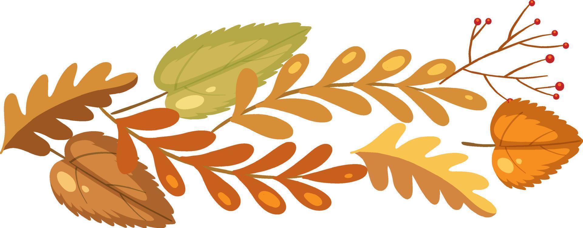 Autumn leaves on white background vector