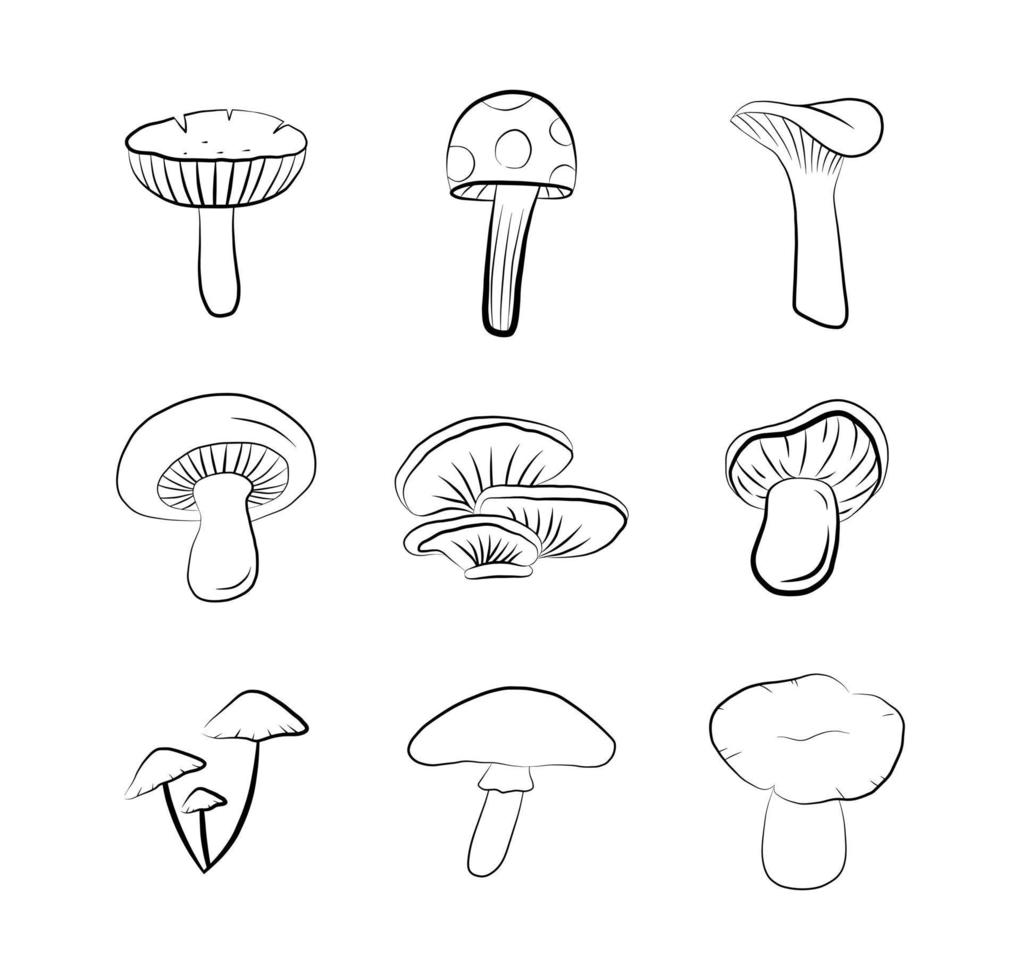 Mushroom icon set isolated vector graphic outline doodle drawing. Forest autumn season vegetable food sketch print.