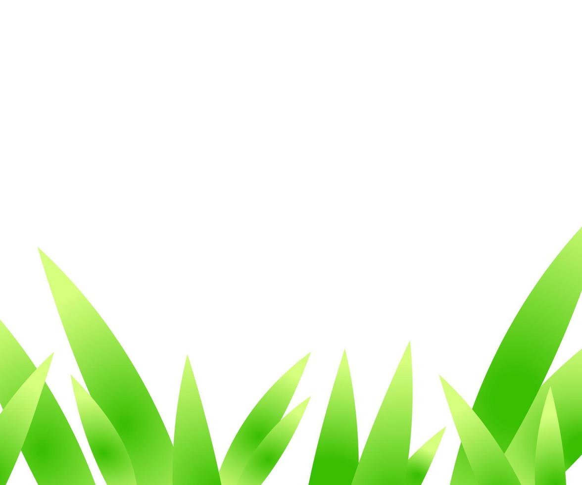 Green grass border background isolated on white vector illustration summer spring seasonal