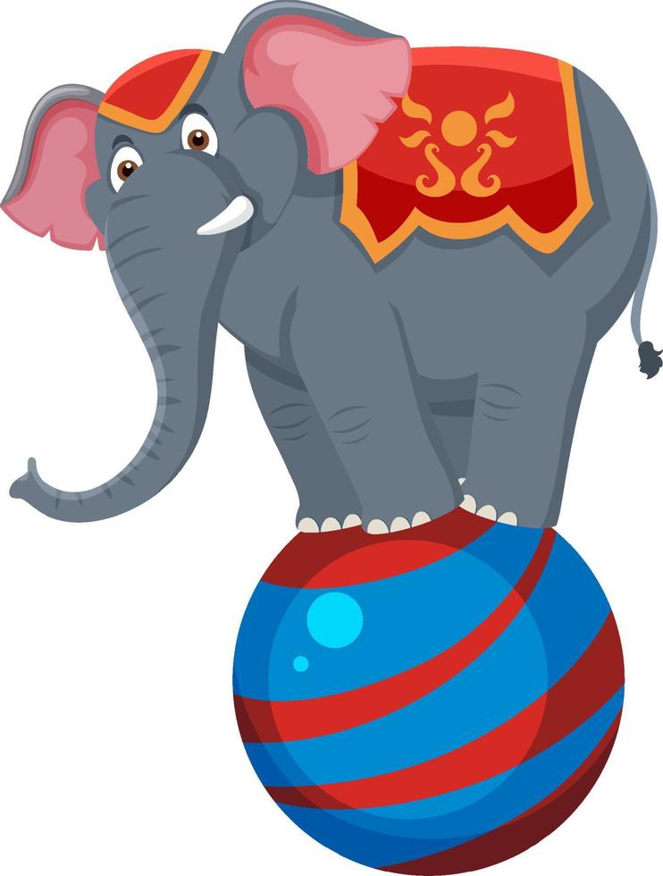 Elephant performance balancing on ball vector