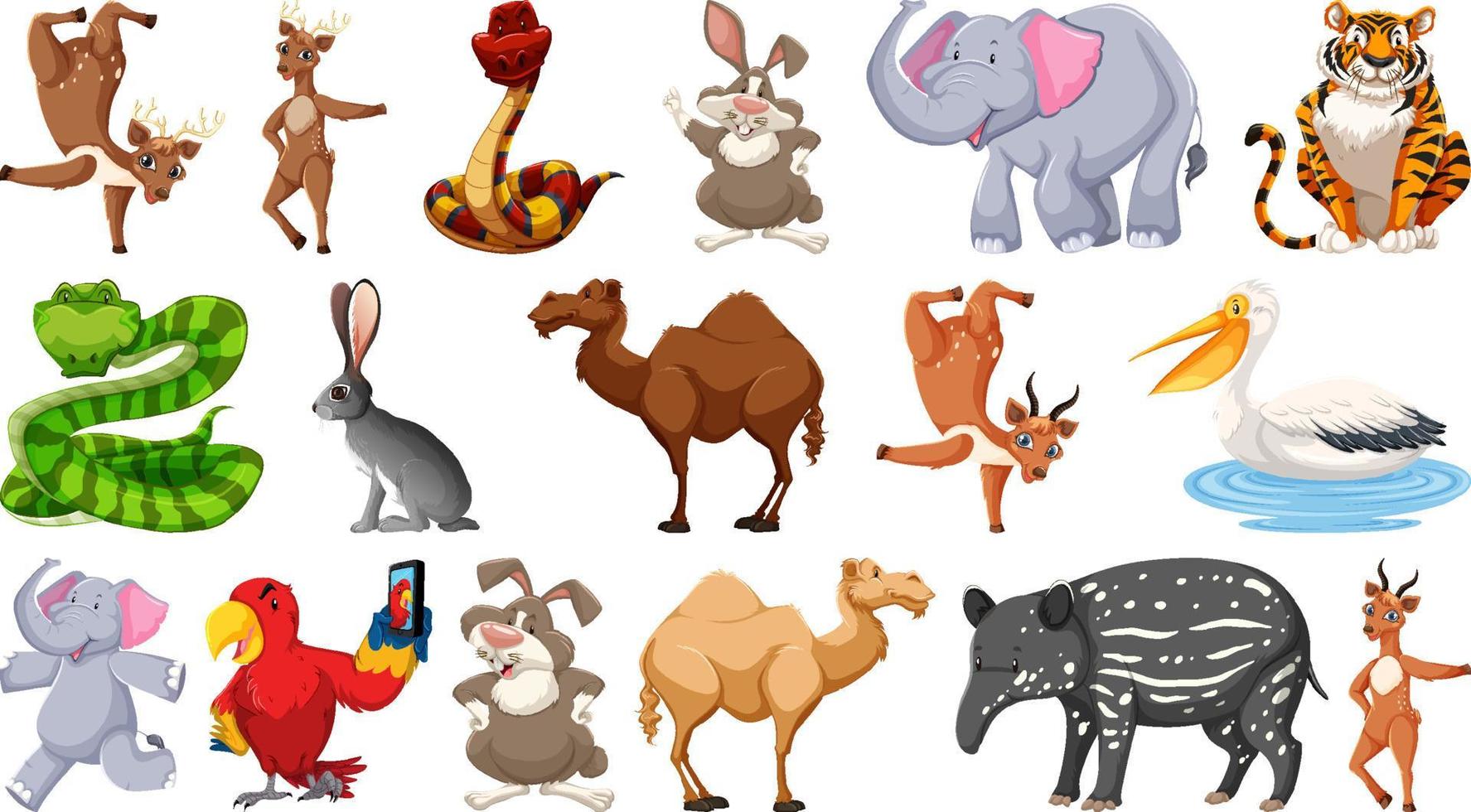 Set of different wild animals cartoon characters vector