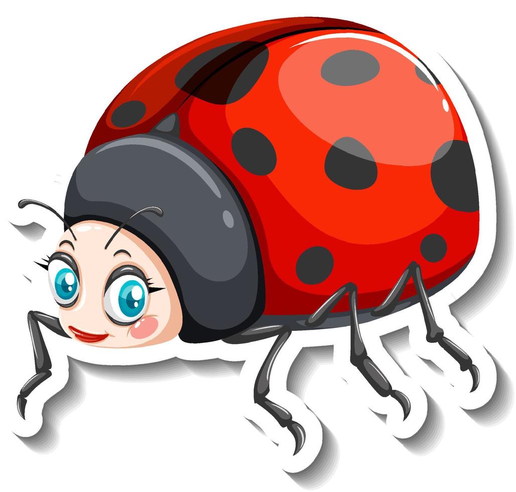 Ladybug animal cartoon sticker vector