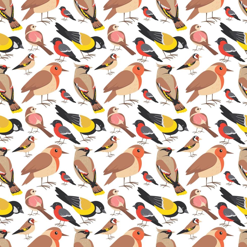 Birds Seamless Pattern Design vector