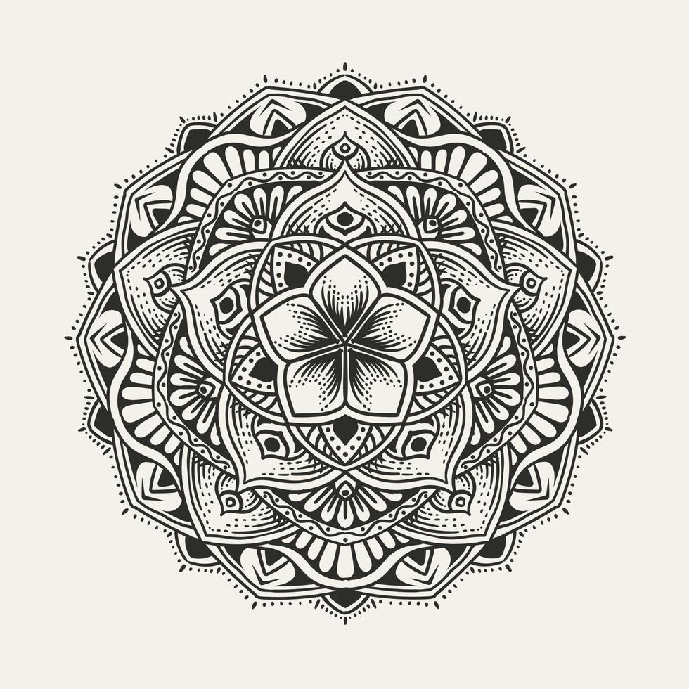 elegante patrón de mandala de círculo sobre fondo blanco vector