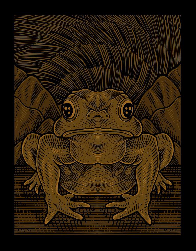 illustration vintage frog with engraving style vector