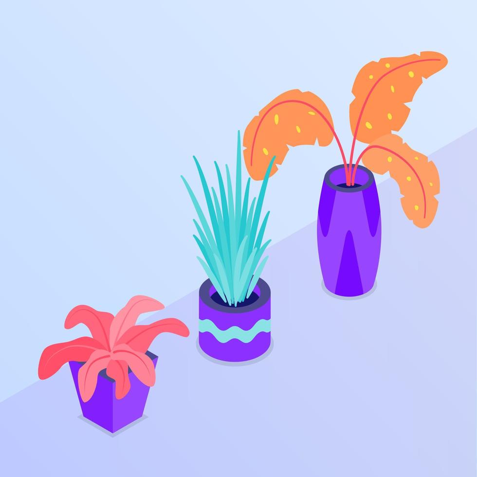 Varias colecciones florales o de plantas con colores modernos y estilo isométrico. vector