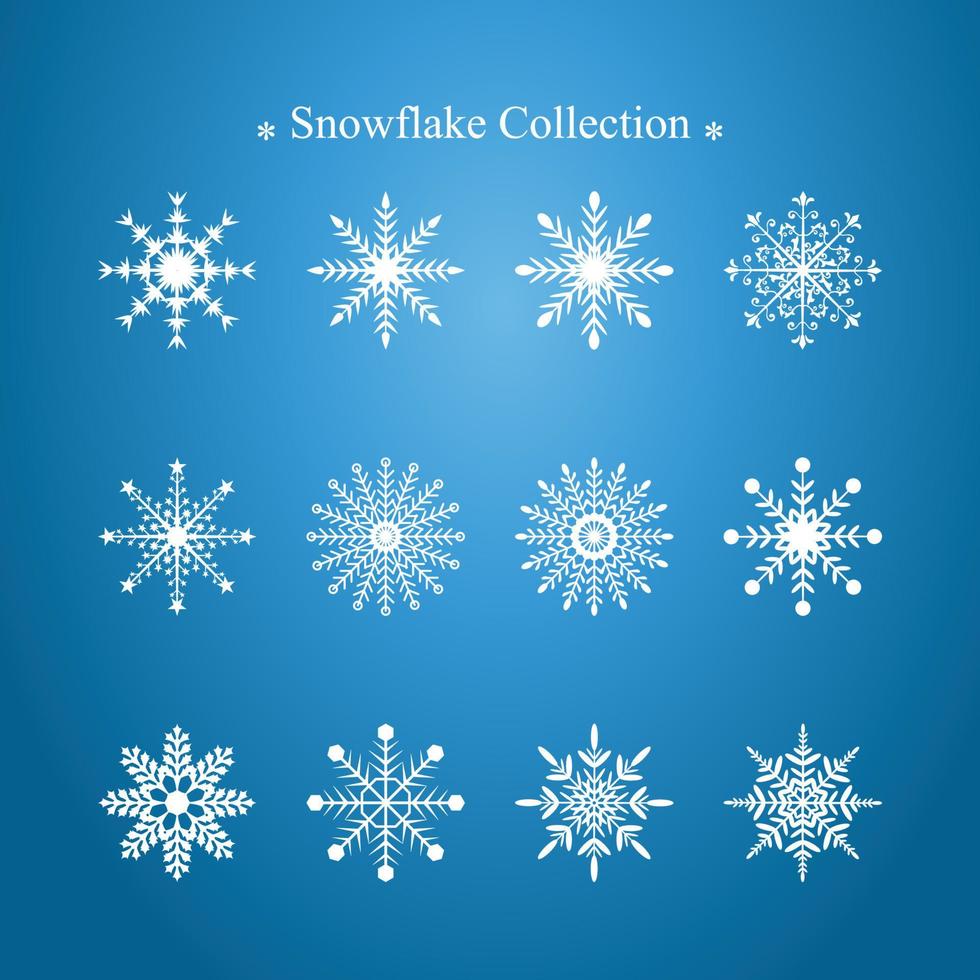 Snowflake vector design collection. Cute winter snowflake vector. Decorative elements for wintertime. Christmas decoration element.