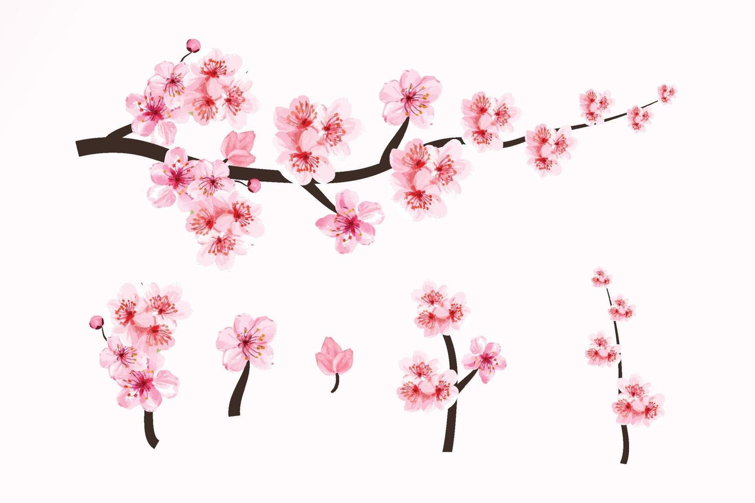 elementos de rama de flor de cerezo con flor de sakura. flor de cerezo con sakura elementos de rama de flor de cerezo con flor de sakura. flor de cerezo con sakura