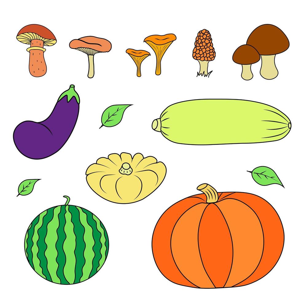 Set of vegetables and mushrooms. Illustrstion of pumpkin, zucchini, squash, eggplant. vector