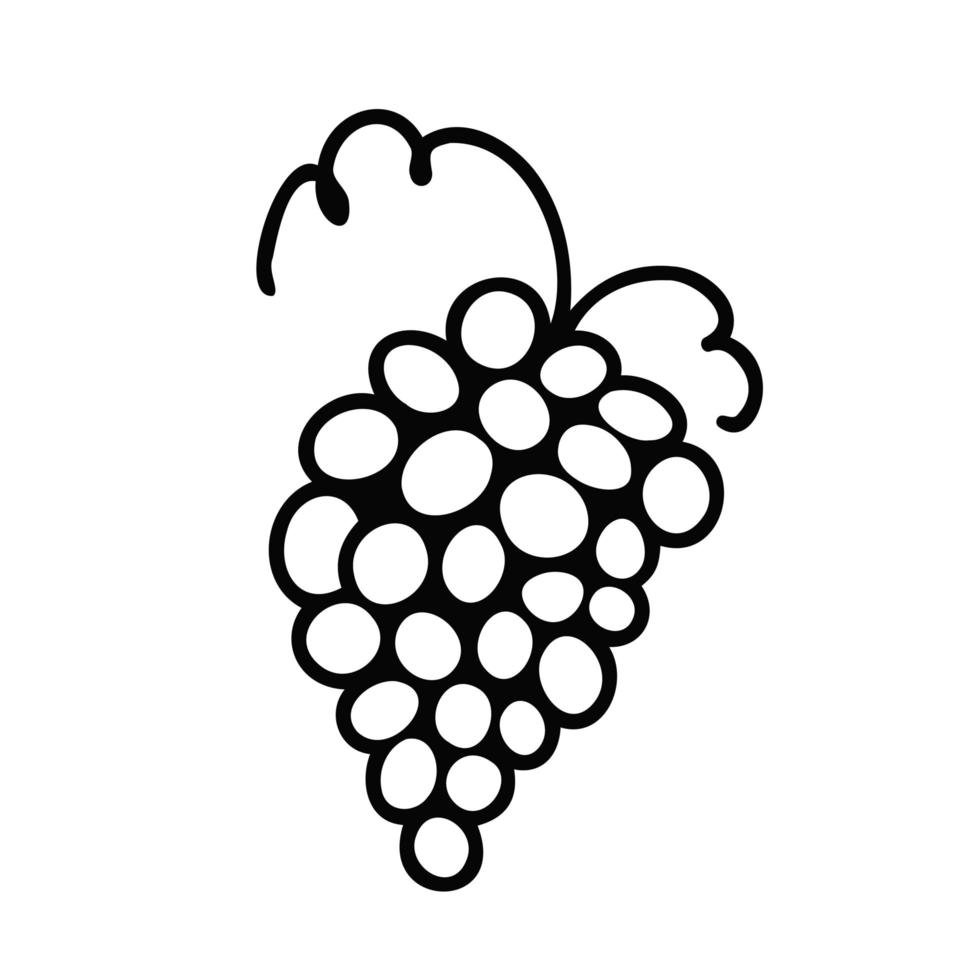 Grape. Doodle illustration for printing, backgrounds, icon web, mobil design, wallpapers, covers, packaging, posters, stickers, textile and seasonal design. Isolated on white background. vector