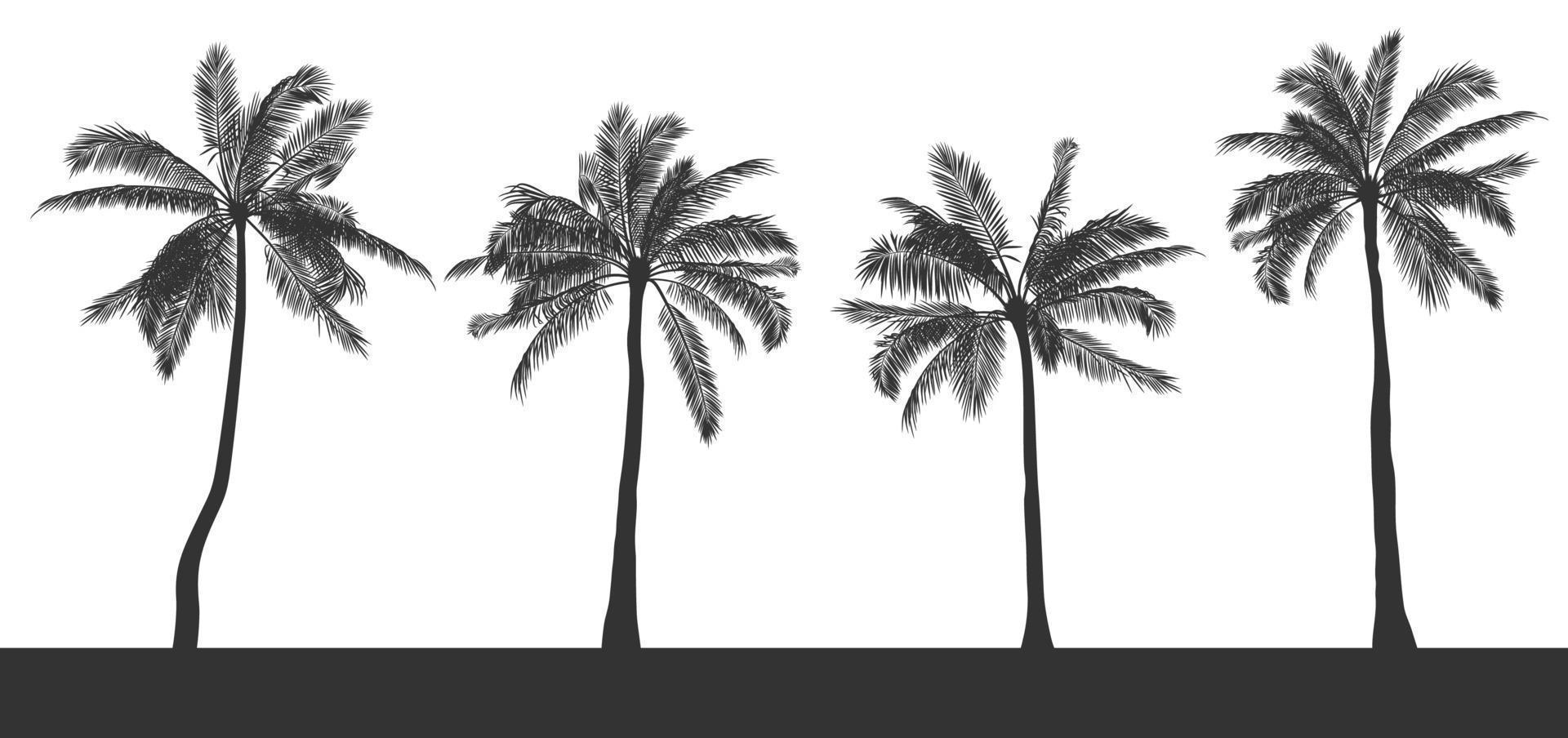 Set of silhouettes of palm trees on white isolated background. Hand drawn realistic contour. Template for printing and design of T-shirt, booklet, card, poster in tropical style. Vector illustration.